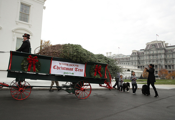 WASHINGTON, DC - NOVEMBER 25: U.S. first lady Michelle Obama, accompanied by her nephews Austin and Aaron Robinson and her dogs Bo and Sunny, receives the official White House Christmas tree at the North Portico of the White House November 25, 2016 in Washington, DC. The tree, a 19 feet tall Balsam fir, arrived at the White House on Friday and will be on display in the Blue Room during the holiday season. (Photo by Alex Wong/Getty Images)